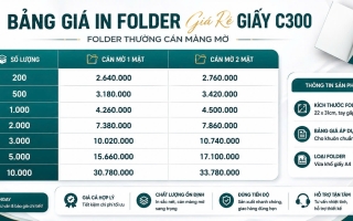 Thiết kế hồ sơ năng lực, catalog và in folder trọn gói